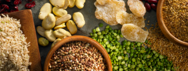 Gluten Free Grains