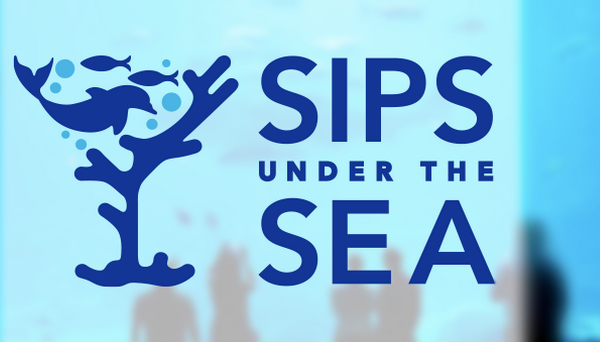 sipsunderthesea