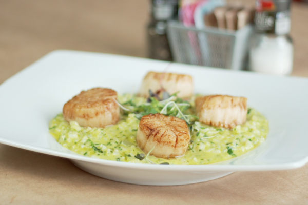 Scallop risotto