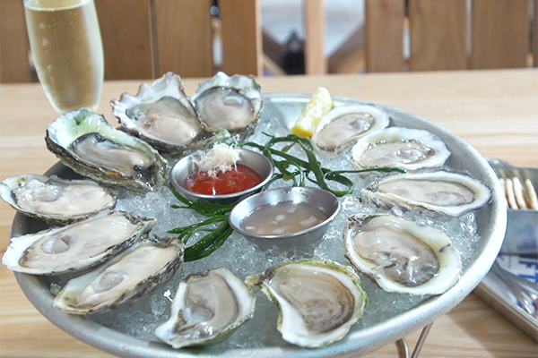 Oysters from Drift Fish House and Oyster Bar 