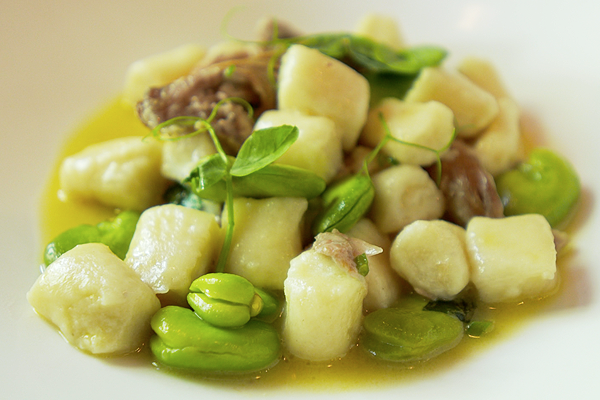 the gnocchi with fava beans and braised duck 