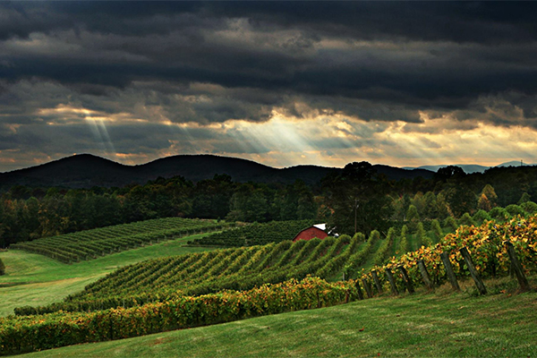 Dahlonega Resort & Vineyards