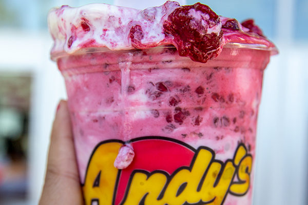 Andy's Frozen Custard - Raspberry Concrete