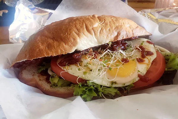 Sandwich with egg, tomato, lettuce, sprouts, and more