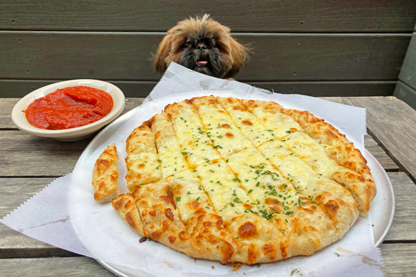 Pour Taproom patio and cheesy bread from Nina & Rafi with a shih tzu