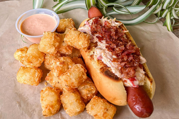 Hot dog and tater tots from Red's Beer Garden