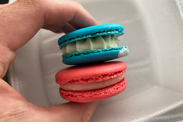 Blue and pink macarons from Cafe Vendome