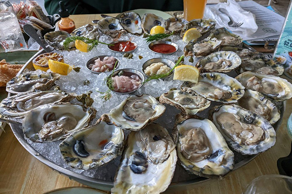 fresh oysters from seaside oyster bar
